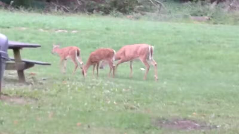 Cleveland Metropark Maintenance Center - Cleveland, OH