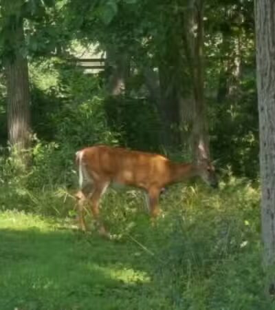 Cleveland Metropark Maintenance Center - Cleveland, OH