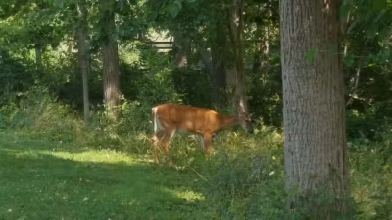 Cleveland Metropark Maintenance Center - Cleveland, OH