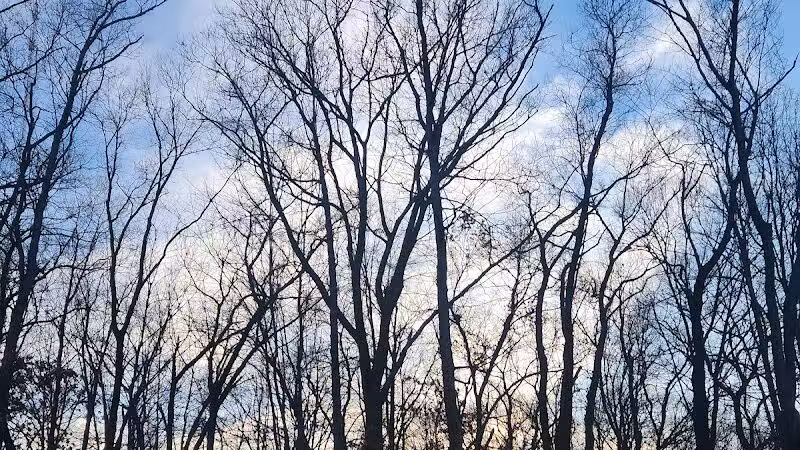 Cleveland Metroparks - Cleveland, OH