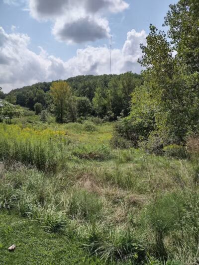 Cleveland Metroparks - Cleveland, OH