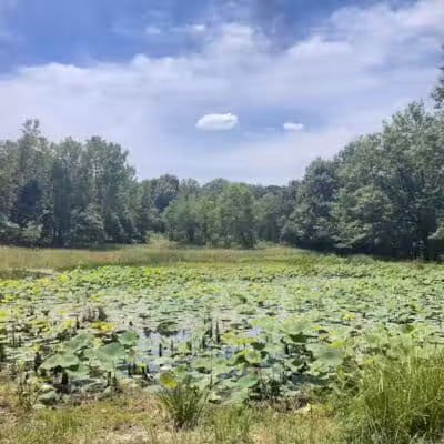 Cleveland Metroparks Brookside Reservation - Cleveland, OH