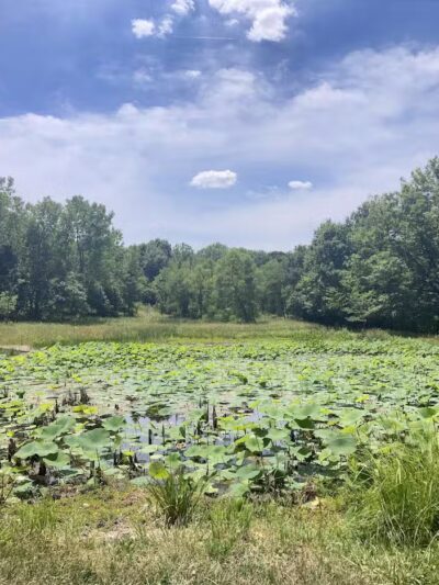 Cleveland Metroparks Brookside Reservation - Cleveland, OH