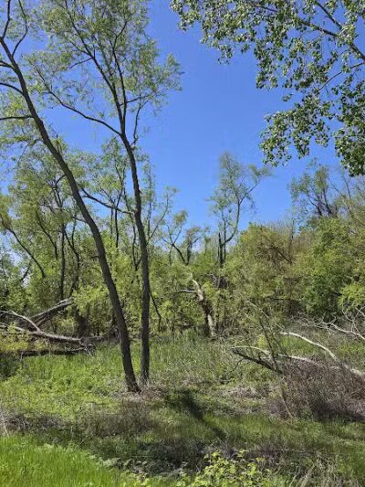 Cleveland Metroparks Lakefront - Cleveland, OH