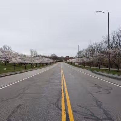 Cleveland Metroparks Meadow Ridge Picnic Area - Cleveland, OH