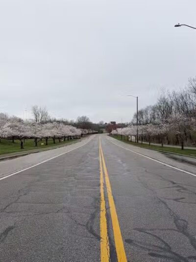 Cleveland Metroparks Meadow Ridge Picnic Area - Cleveland, OH