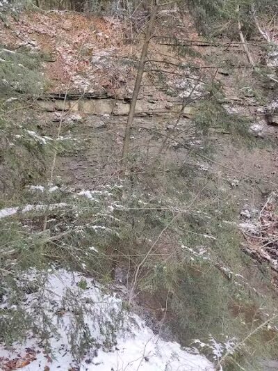 Cleveland Metroparks Meadow Ridge Picnic Area - Cleveland, OH