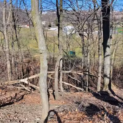 Cleveland Metroparks Meadow Ridge Picnic Area - Cleveland, OH
