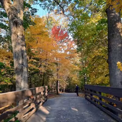 Cleveland Metroparks Meadow Ridge Picnic Area - Cleveland, OH