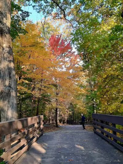 Cleveland Metroparks Meadow Ridge Picnic Area - Cleveland, OH