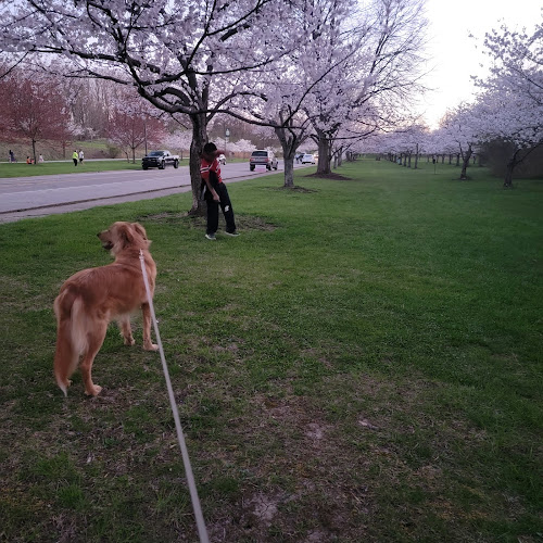 Cleveland Metroparks Meadow Ridge Picnic Area - Cleveland, OH
