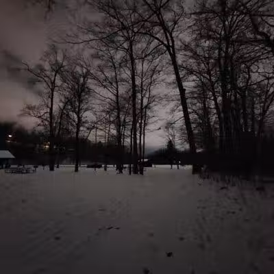 Cottonwood Picnic Pavilion - Cleveland, OH