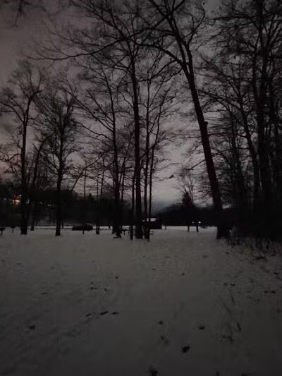 Cottonwood Picnic Pavilion - Cleveland, OH