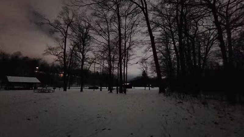 Cottonwood Picnic Pavilion - Cleveland, OH