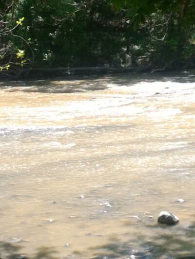 Cottonwood Picnic Pavilion - Cleveland, OH