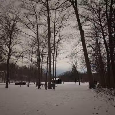 Cottonwood Picnic Pavilion - Cleveland, OH