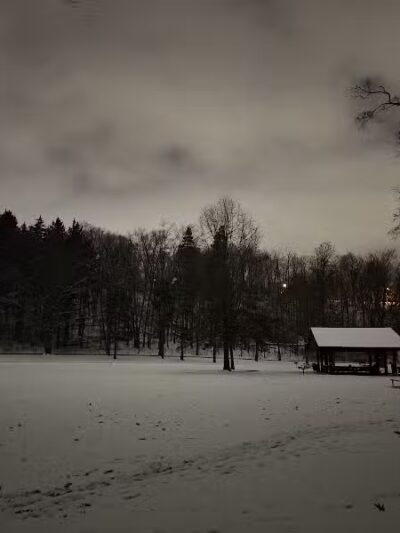 Cottonwood Picnic Pavilion - Cleveland, OH