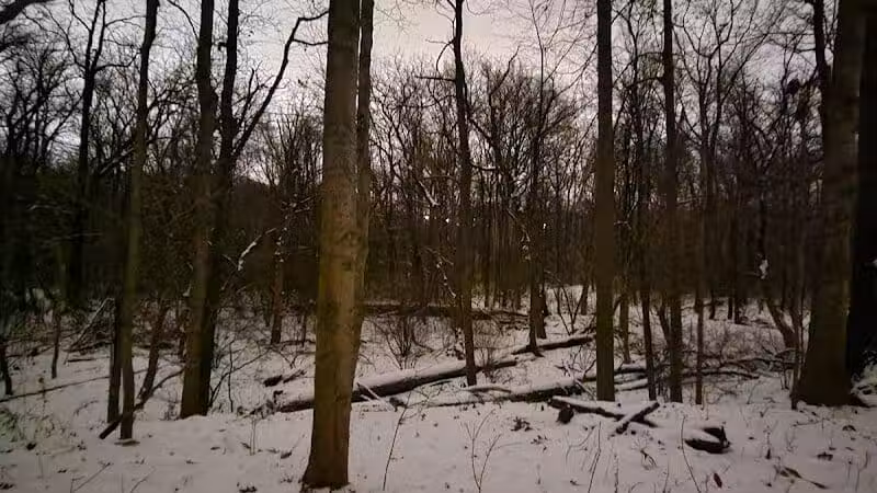 Cottonwood Picnic Pavilion - Cleveland, OH