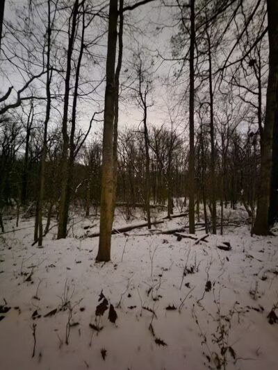 Cottonwood Picnic Pavilion - Cleveland, OH