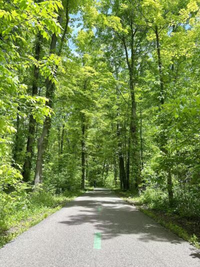 Cottonwood Picnic Pavilion - Cleveland, OH