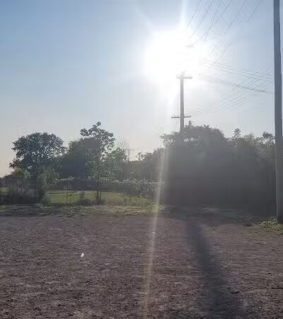 Dog Park - Cleveland, OH