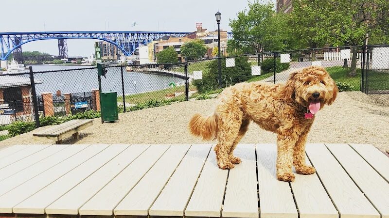 Downtown Cleveland Dog Park - Cleveland, OH