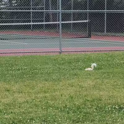 Drakefield Park - Cleveland, OH