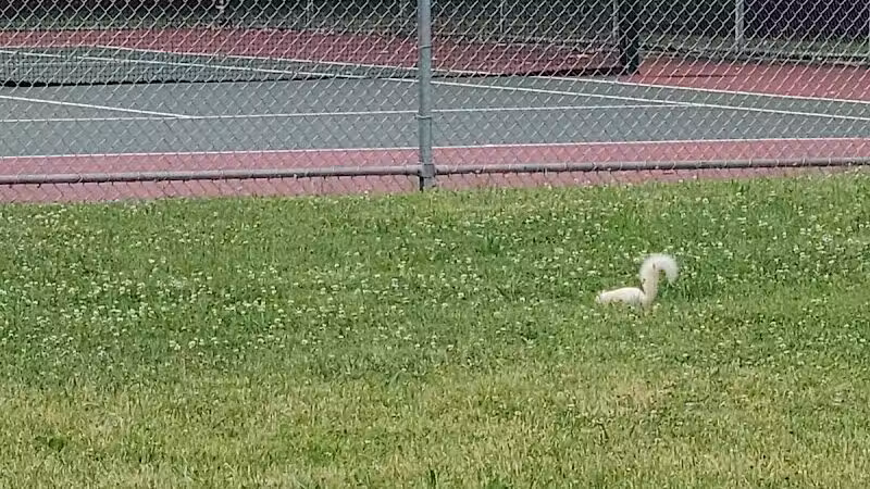 Drakefield Park - Cleveland, OH
