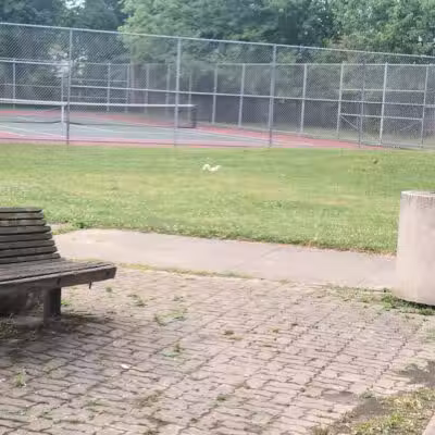 Drakefield Park - Cleveland, OH