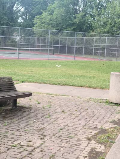 Drakefield Park - Cleveland, OH