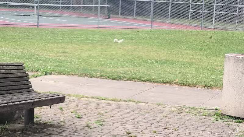 Drakefield Park - Cleveland, OH