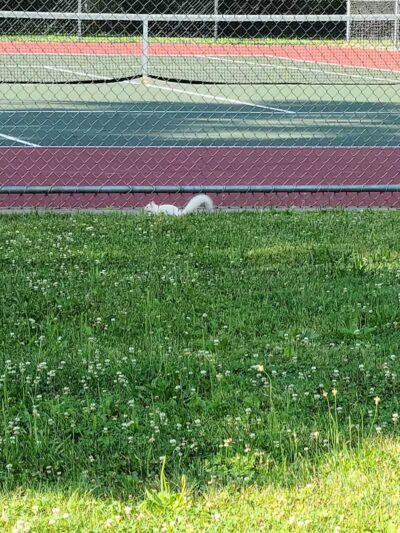 Drakefield Park - Cleveland, OH