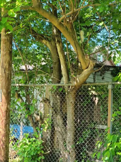 Drakefield Park - Cleveland, OH