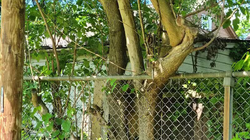 Drakefield Park - Cleveland, OH