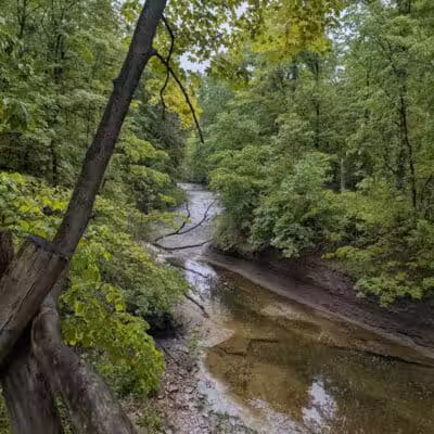 Euclid Creek Reservation - Cleveland, OH