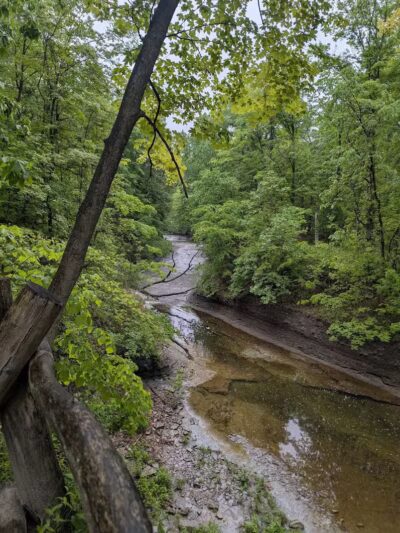Euclid Creek Reservation - Cleveland, OH