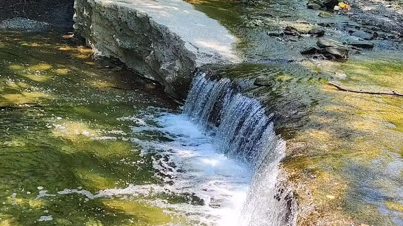 Euclid Creek Reservation - Cleveland, OH