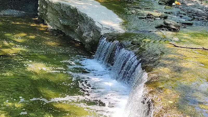 Euclid Creek Reservation - Cleveland, OH