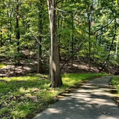 Euclid Creek Reservation - Cleveland, OH
