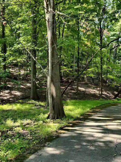 Euclid Creek Reservation - Cleveland, OH