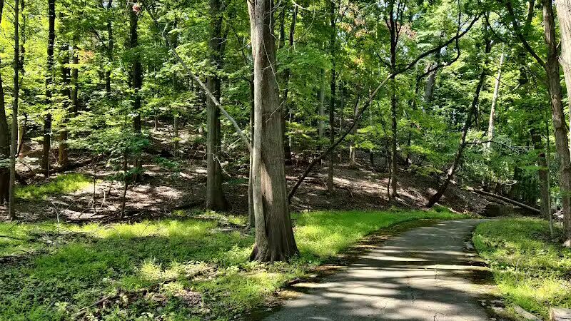 Euclid Creek Reservation - Cleveland, OH