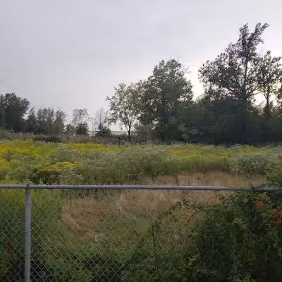 Euclid Dog Park - Cleveland, OH
