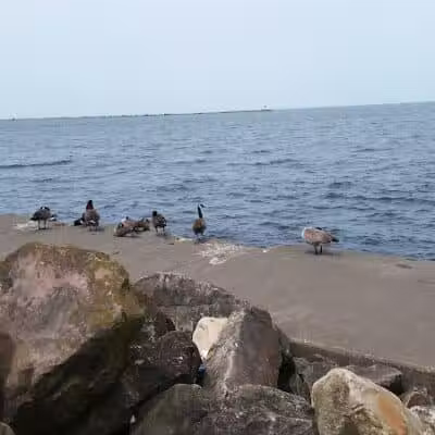 Gordon Park - Cleveland, OH