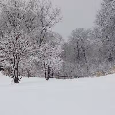 Harmody Park - Cleveland, OH