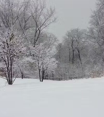 Harmody Park - Cleveland, OH