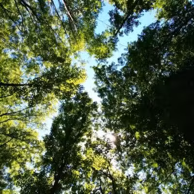 Harmody Park - Cleveland, OH