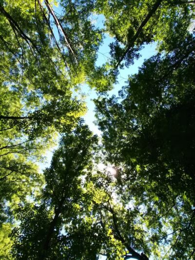 Harmody Park - Cleveland, OH