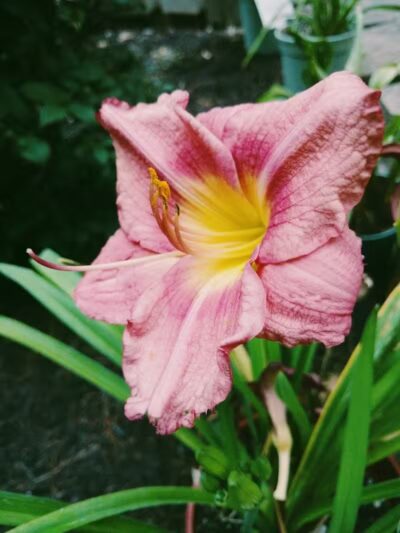 Independence Elmwood Park Office - Cleveland, OH