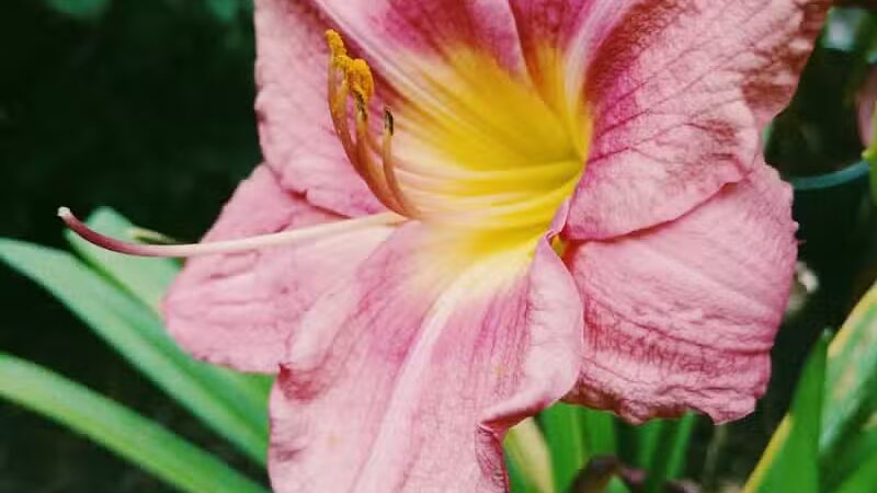 Independence Elmwood Park Office - Cleveland, OH