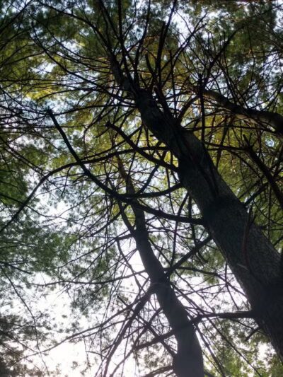 Independence Elmwood Park Office - Cleveland, OH